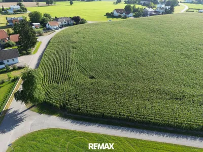 Grundstück kaufen in Ried im Innkreis – 800 m², € 52.000