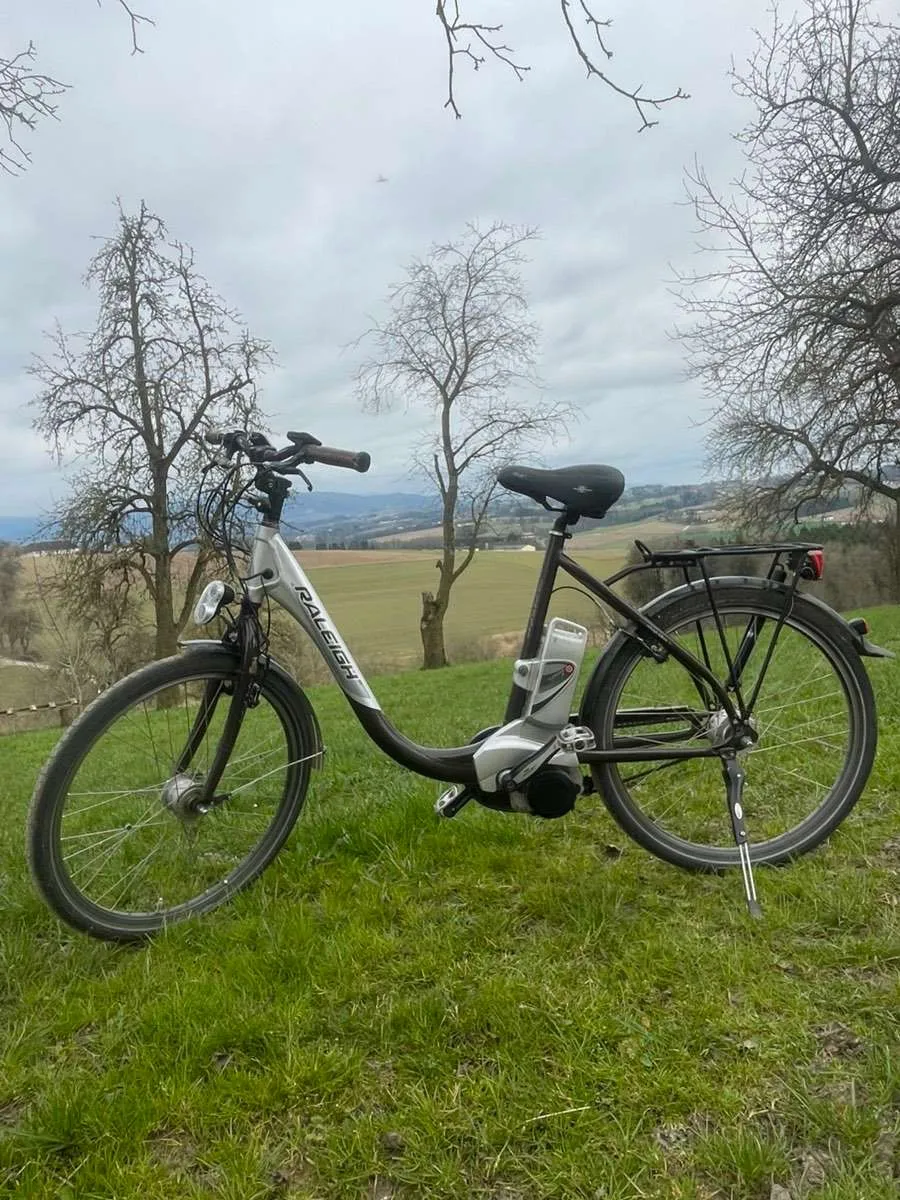 powerbank für elektrofahrrad NUOGELIYA Ebike akku Ersatz Zundapp Z101 faltbar 36V 7Ah 9Ah 10.5Ah Elektrofahrrad faltbar eingebauter Li-ion mit Ladegerät Sonstiges Packungsgröße:Einzelpack Category:MTB Cross Hardtail_CUBE FPH868  Semi Integrated Ungarische Salami geschnitten oder