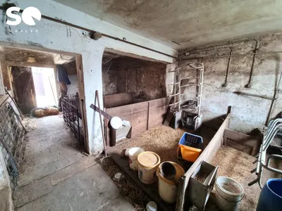 Immobilie kaufen in Mattersburg – 230 m², € 249.000 – Bild 19 von 24