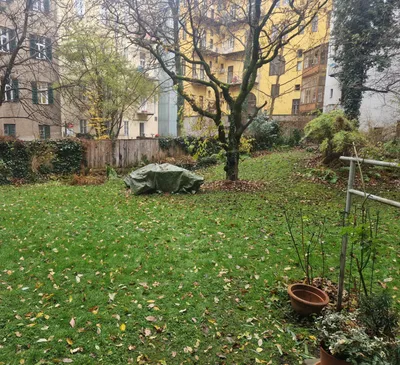 3-Zimmer-Wohnung mieten in Graz – 56 m², € 696 – Bild 22 von 22
