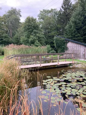 14-Zimmer-Gewerbeimmobilie kaufen in Braunau am Inn – 396,53 m², € 1.655.000 – Bild 24 von 25