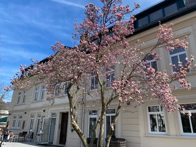 4-Zimmer-Wohnung mieten in Villach – 115 m², € 1.855 – Bild 25 von 25