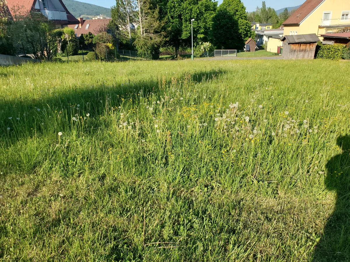 TRAUMHAFTES STADTBAUGRUNDSTÜCK IN WEIZ - Ansicht 2
