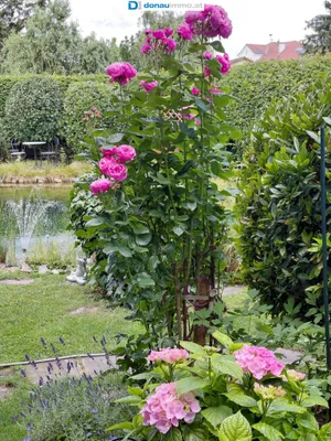 4-Zimmer-Haus kaufen in Krems Land – 123 m², € 498.000 – Bild 11 von 15