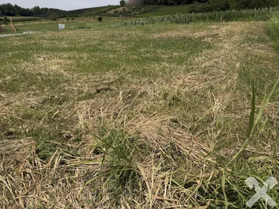 Grundstück kaufen in Leibnitz – 916 m², € 155.720 – Bild 3 von 4