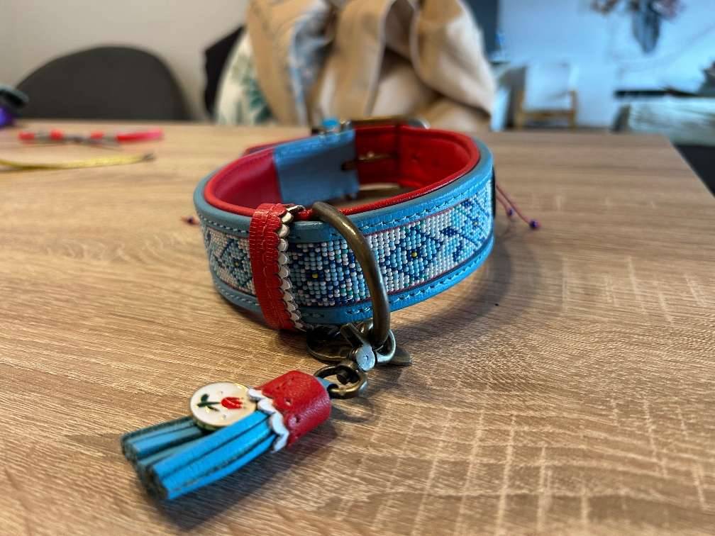 DWAM Halsband,  35,- (5550 Radstadt) - willhaben