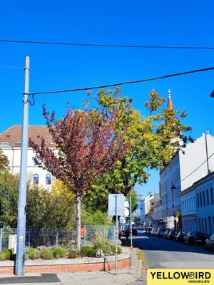 2-Zimmer-Wohnung kaufen in Wien – 43 m² – Bild 8 von 11