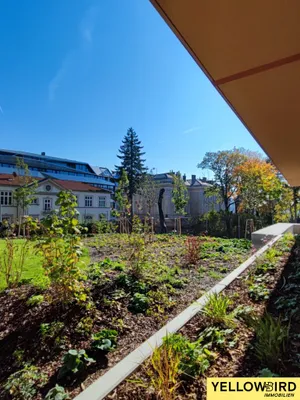 2-Zimmer-Wohnung kaufen in Wien – 43 m² – Bild 4 von 11