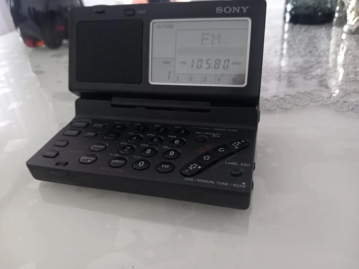 Used Sony sw100 for Sale | HifiShark.com
