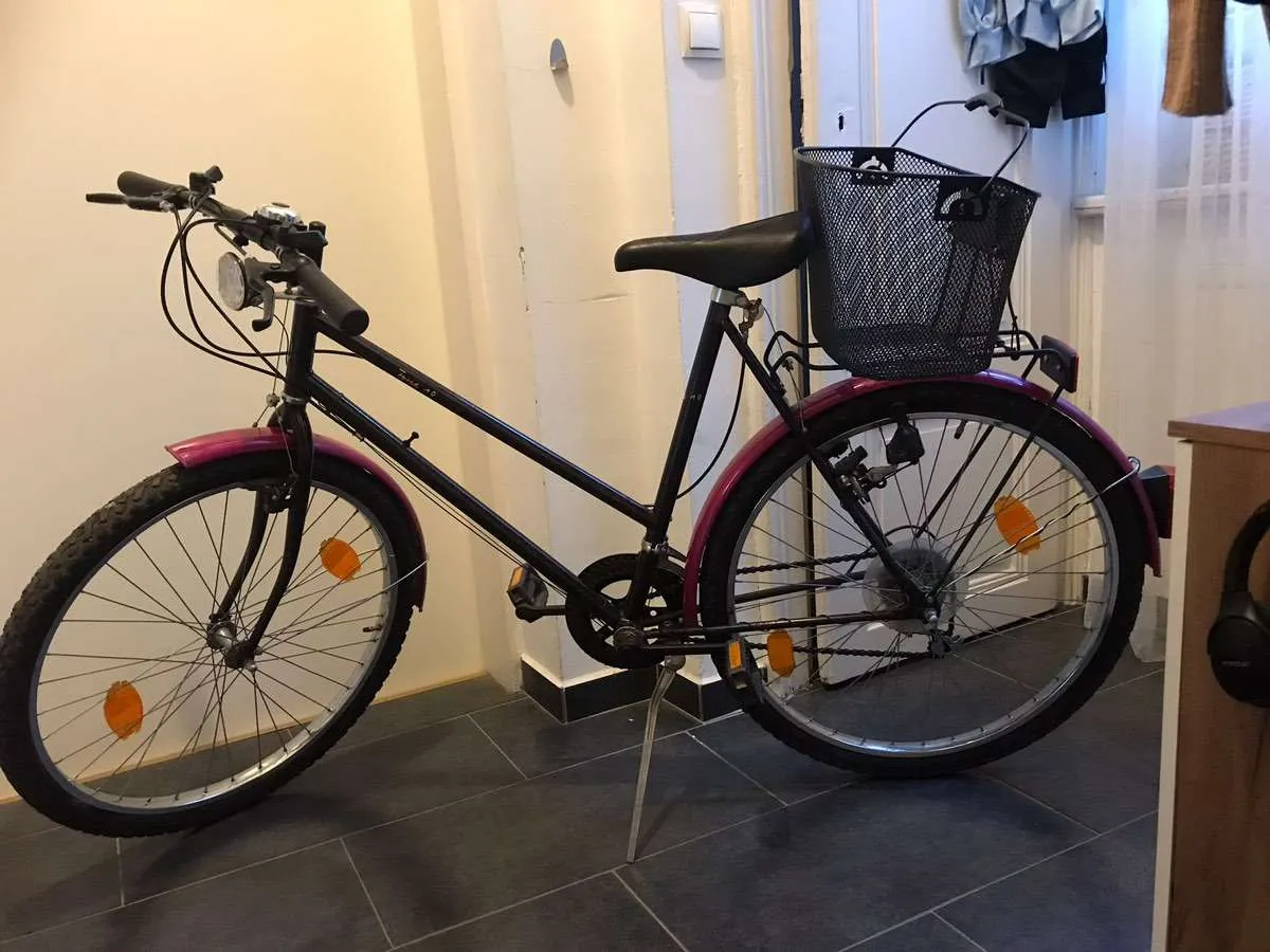 fahrradhelm material White Whale DAMEN E-Mountainbike mit 1.300 Euro Farbe:grau (grau)