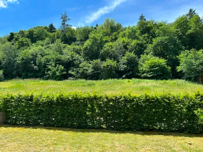 3-Zimmer-Immobilie kaufen in Hartberg-Fürstenfeld – 49 m², € 219.000 – Bild 6 von 12