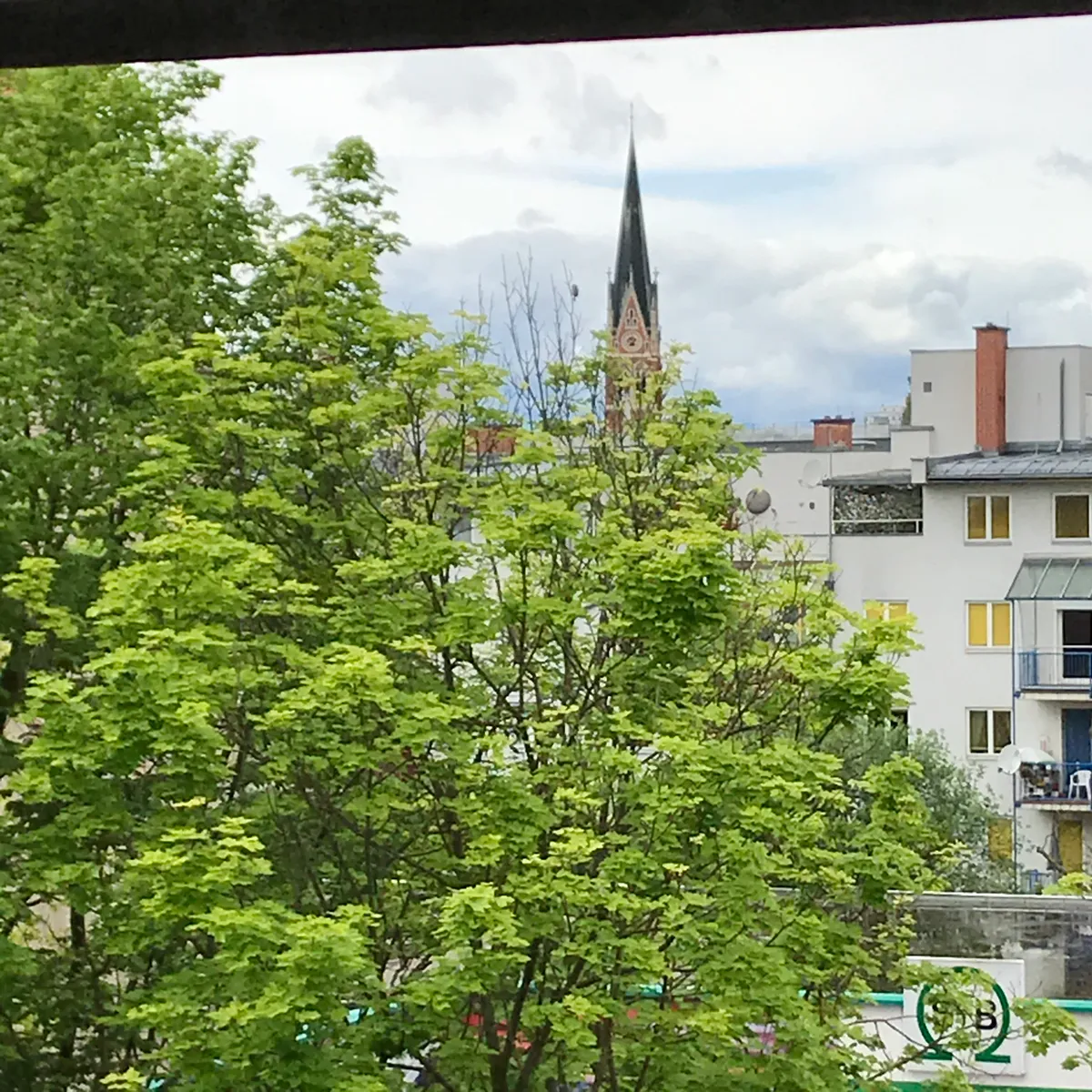 Blick in die Baumkronen Privat und Provisionsfrei - Widok 2