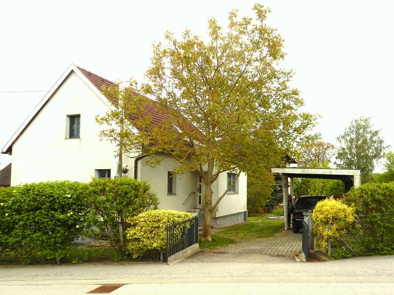 Rarität Idyllisches Einfamilienhaus in LinzLand, 87 m²