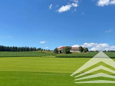 Gewerbeimmobilie mieten in Urfahr-Umgebung – 334 m², € 3.671 – Bild 7 von 8