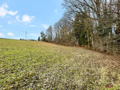 Grundstück kaufen in Jennersdorf – 10 956 m², € 150.000 – Bild 5 von 18
