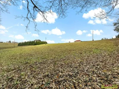 Grundstück kaufen in Jennersdorf – 10 956 m², € 150.000 – Bild 6 von 18