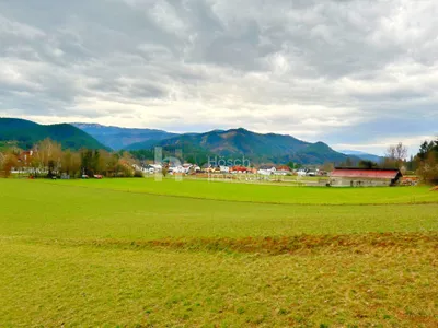 Grundstück kaufen in Wiener Neustadt Land – 7 995 m², € 579.000 – Bild 2 von 8
