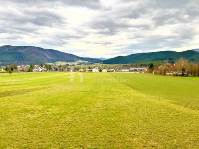 Grundstück kaufen in Wiener Neustadt Land – 7 995 m², € 579.000 – Bild 4 von 8
