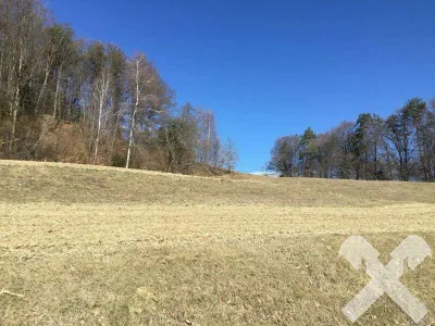 Grundstück kaufen in Südoststeiermark – 1 362 m²