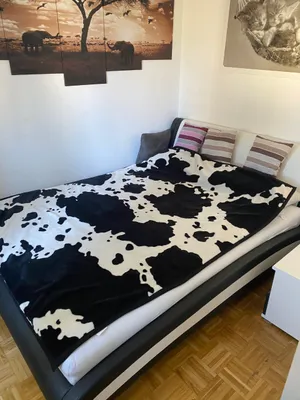 2-Zimmer-Wohnung mieten in Linz – 40 m², € 560 – Bild 6 von 10