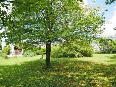 Grundstück kaufen in Tulln – 614 m², € 220.000 – Bild 6 von 8