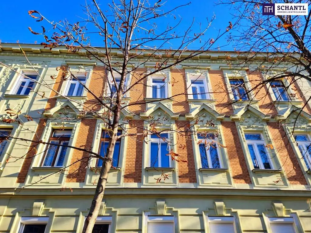 Neuer Preis! Erstbezug - Frisch sanierte Altbauwohnung! Hier will ich leben! Traumhaft saniertes Altbauhaus + Hofseitiger und riesiger Allgemeingarten + Lebensqualität + Luftwärmepumpe! Jetzt zugrei - Ansicht 3