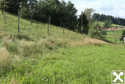 Grundstück kaufen in Perg – 856 m², € 32.376 – Bild 3 von 4