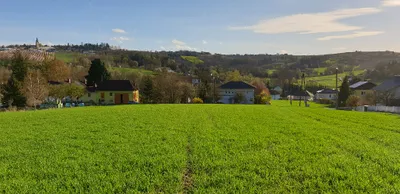 Grundstück kaufen in Eferding – 1 886 m²