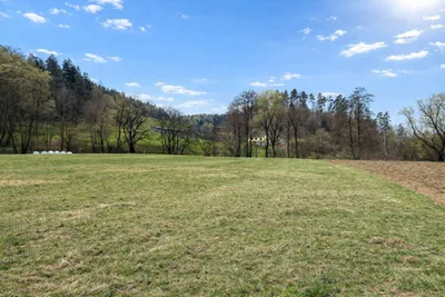 Grundstück kaufen in Voitsberg – 9 700 m² – Bild 5 von 8
