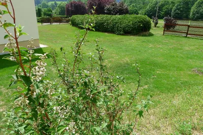 3-Zimmer-Haus mieten in Neunkirchen – 86 m², € 970 – Bild 27 von 31