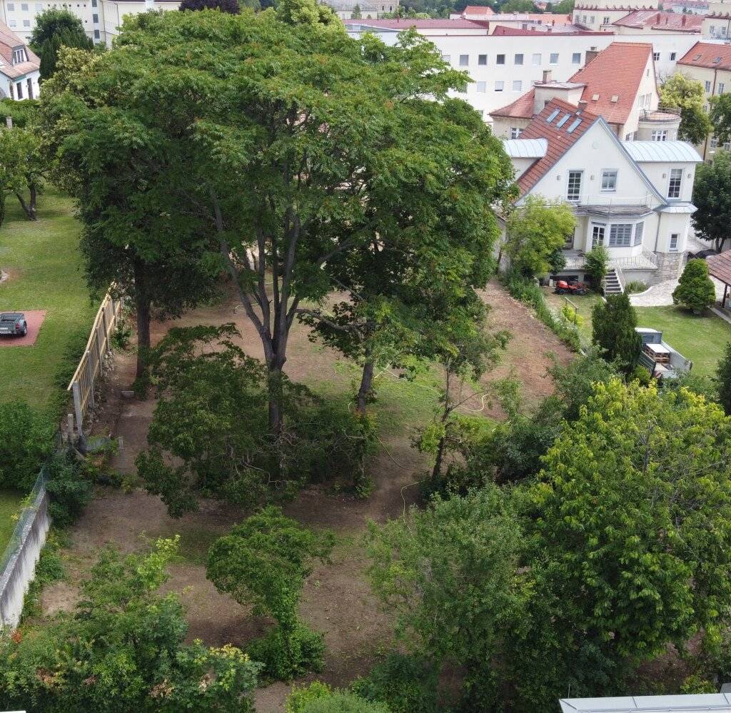 attraktives Grundstück mit Altbaumbestand in Bestlage von Eisenstadt - Ansicht 2