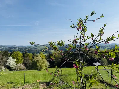 3-Zimmer-Haus mieten in Voitsberg – 75 m², € 1.150 – Bild 5 von 17