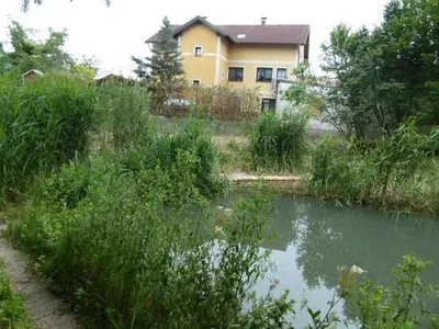 Immobilie kaufen in Sankt Pölten Land – 1 300 m², € 275 – Bild 11 von 11