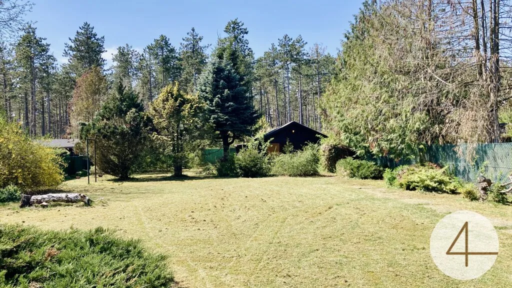 10Minuten nach Wiener Neustadt - 804m² Baugrundstück - direkt neben dem Wald - Ruhelage - nahe Golfplatz & Therme – pohled 2