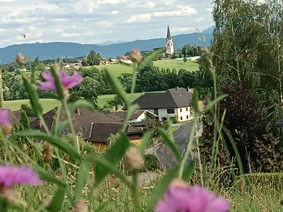 Grundstück kaufen in Vöcklabruck – 700 m², € 175 – Bild 3 von 11