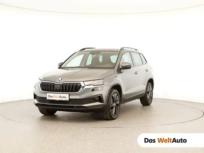 Skoda Karoq Ambition TDI DSG