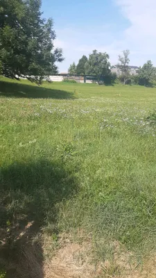Grundstück kaufen in Steyr-Land – 750 m², € 225.000 – Bild 9 von 10