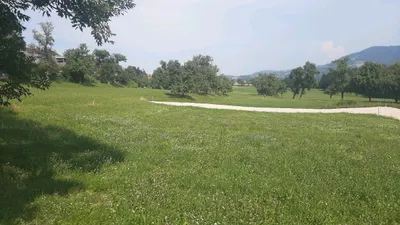 Grundstück kaufen in Steyr-Land – 750 m², € 225.000 – Bild 2 von 10