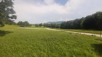 Grundstück kaufen in Steyr-Land – 750 m², € 225.000 – Bild 6 von 10