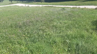 Grundstück kaufen in Steyr-Land – 750 m², € 225.000 – Bild 7 von 10