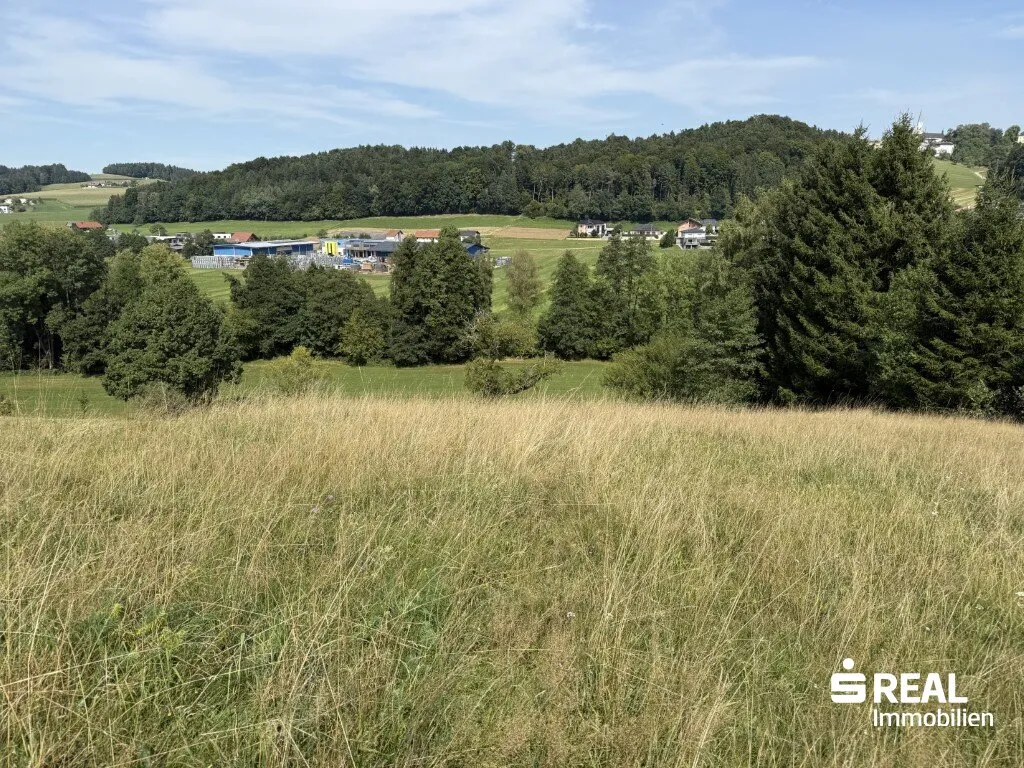 Baugrundstück in Maria Schmolln - Ansicht 2