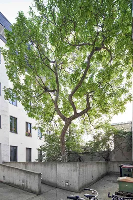 1-Zimmer-Wohnung kaufen in Wien – 30,22 m², € 59.000 – Bild 9 von 16