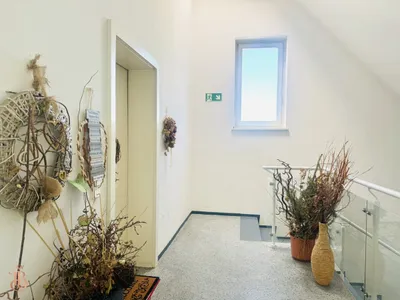 Gewerbeimmobilie kaufen in Güssing – 1 393 m², € 1.600.000 – Bild 14 von 14