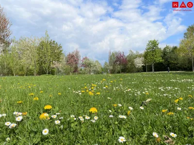 3-Zimmer-Wohnung mieten in Linz – 65,81 m², € 1.138 – Bild 18 von 24