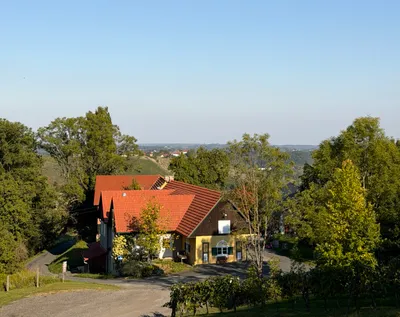 Gewerbeimmobilie kaufen in Leibnitz – 300 m²