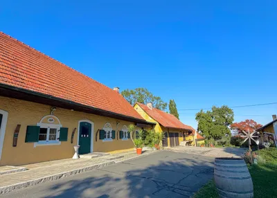 Gewerbeimmobilie kaufen in Leibnitz – 300 m² – Bild 3 von 22
