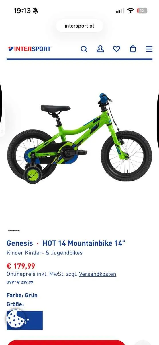 rennrad 60 cm Intec F01 Campagnolo Centaur schwarz XL (60 cm) Choose your size:7.5 Mtb Cube Hybrid Prezzo Aimpoint