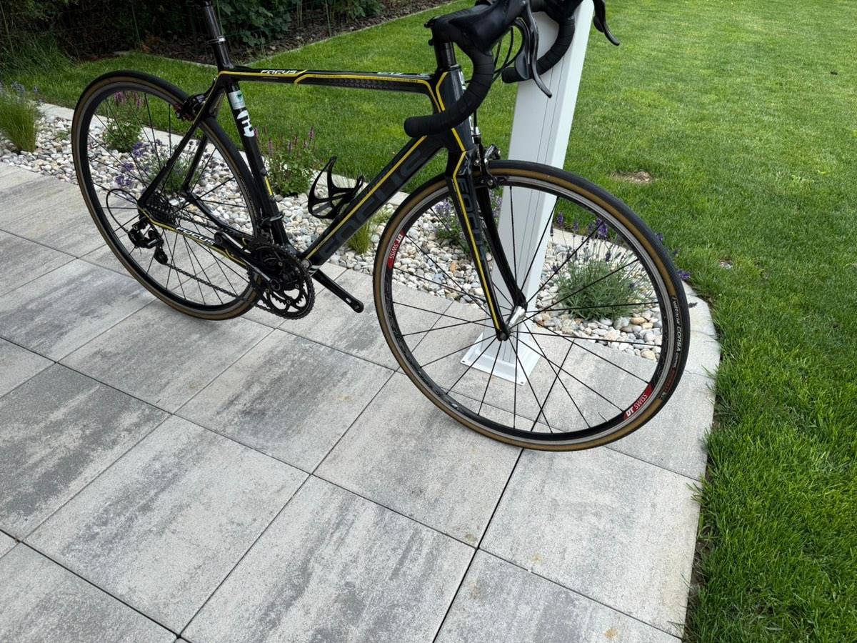 Rennrad Carbon kaufen - willhaben