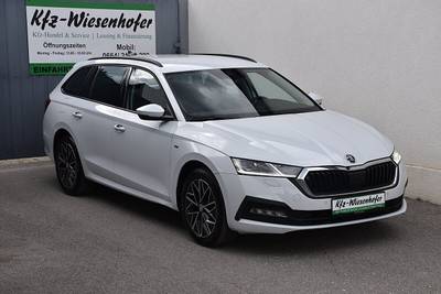 Skoda Octavia 2.0 TDI DSG Ambition / Anhängerkupplung...