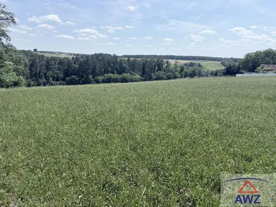 Grundstück kaufen in Güssing – 44 100 m² – Bild 3 von 4